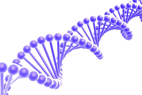 Illustration of a DNA double helix structure rendered with purple spheres and rods. The spiral shape represents the twisted ladder-like form of the DNA molecule, with the spheres depicting nucleotide bases connected by the rod-like sugar-phosphate backbone, highlighting quality IV solutions.