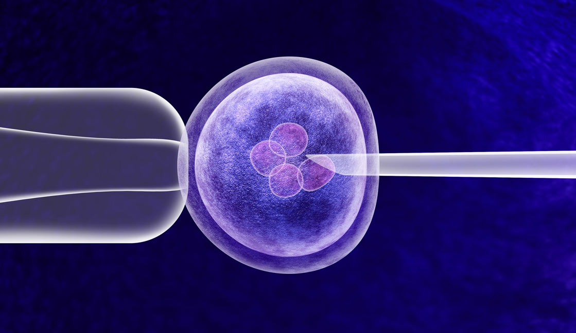 A close-up illustration of in vitro fertilization, highlighting a needle injecting material into a human egg cell under a microscope, symbolizing advances in fertility research against a dark blue background.