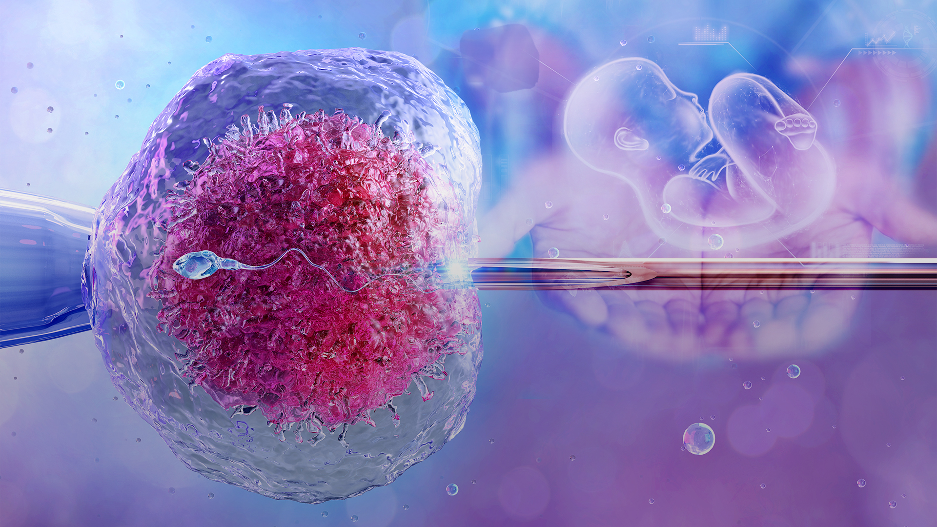 A digital illustration of fertility and in vitro fertilization shows a sperm approaching an egg cell, with a pipette injecting genetic material. In the background, a translucent depiction of an embryo inside a womb highlights new life.